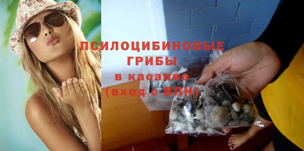PSILOCYBIN Магас
