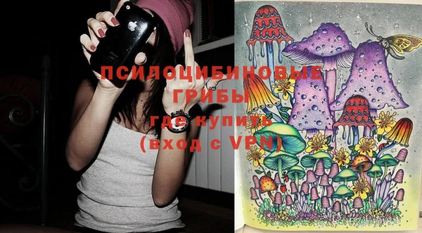 PSILOCYBIN Магас